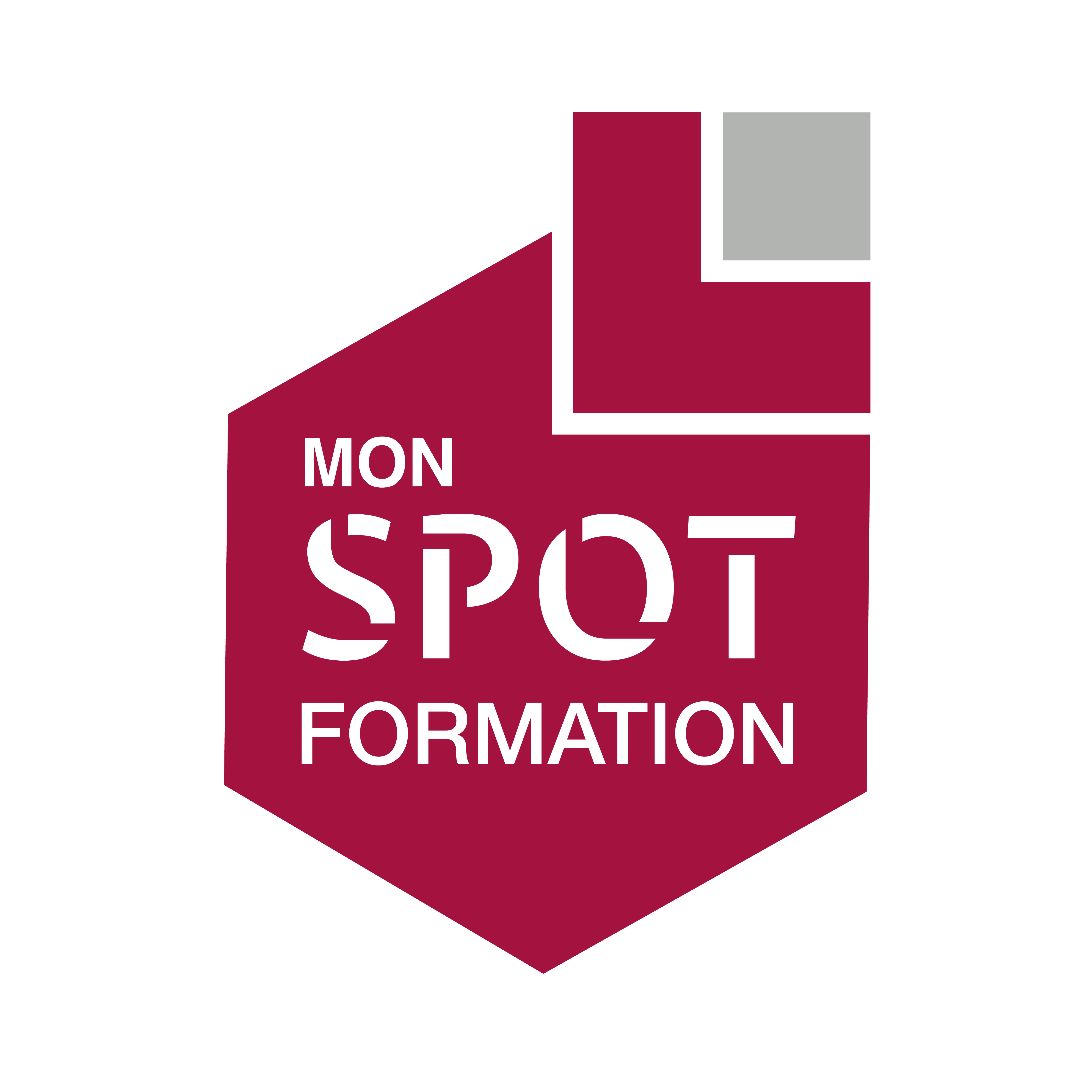 Mon Spot Formation - Logo en couleur